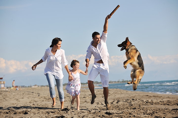 Healthy family at the beach