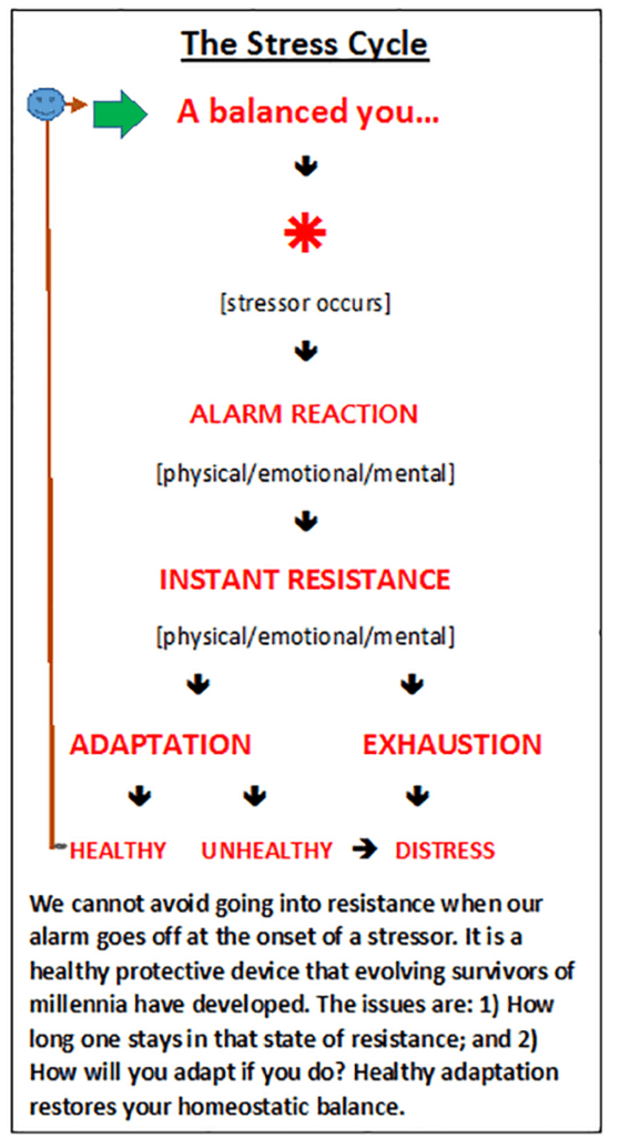 stress cycle diagram